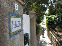 IMG 0424  Capri